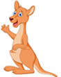 kangaroo